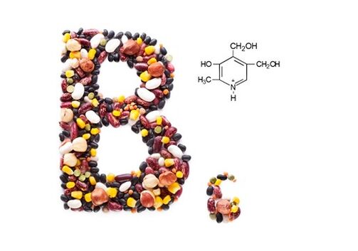 Cardione contém vitamina B6